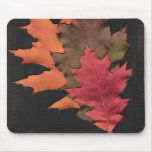 Autumn Leaves Mouse Pads