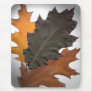 Autumn Leaves Mouse Mat