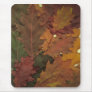 Autumn Leaves Mouse Pads