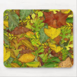 Autumn Leaves Mousepad