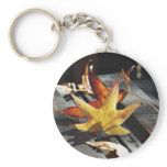 Autumn leaves on a bench key chains