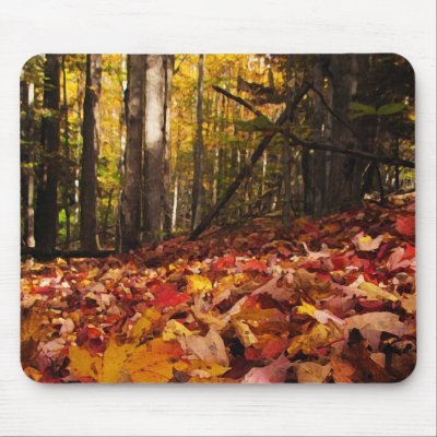 Autumn Leaves on the Forest Floor by Bebops
