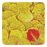 Autumn leaves - Painting Art Stickers
