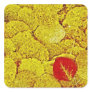 Autumn leaves - Painting Art Stickers