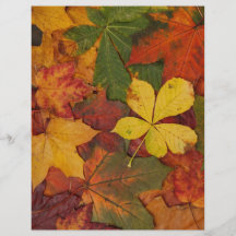 Autumn Leaves Personalised Flyer