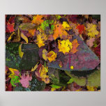Autumn leaves ,pink field stones , poster posters