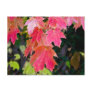 Autumn  Leaves Postcards