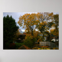 Autumn Leaves Poster