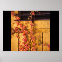 Autumn Leaves Poster