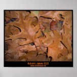 Autumn Leaves posters