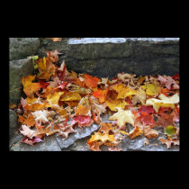 Autumn Leaves posters