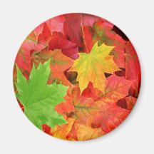 AUTUMN LEAVES REFRIGERATOR MAGNET