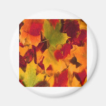 AUTUMN LEAVES REFRIGERATOR MAGNETS