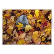 Autumn leaves rock card