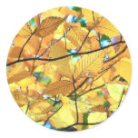 Autumn Leaves Stickers