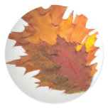 Autumn Leaves Stickers