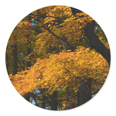 Autumn Leaves Sticker by nedell