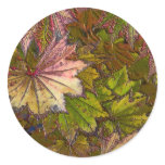 Autumn Leaves - Sticker