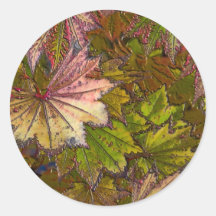 Autumn Leaves - Sticker