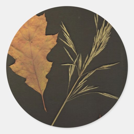 Autumn Leaves Stickers