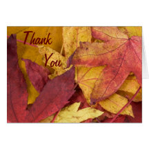Autumn Leaves Thank You Note Cards