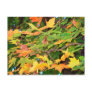 Autumn Leaves Thanksgiving Postcard
