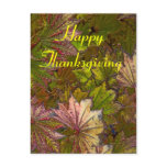 Autumn Leaves: Thanksgiving - Postcard