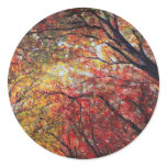 Autumn Light Round Stickers