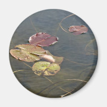 Autumn Lilypads Series Magnet