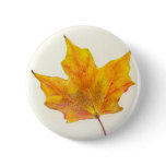 Autumn Maple Leaf in Shades of Gold buttons