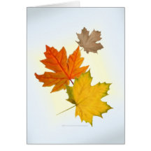Autumn Maple Leaves Card