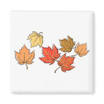 Autumn Maple Leaves Magnets