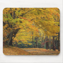 Autumn maple tree overhanging country lane, mousepads