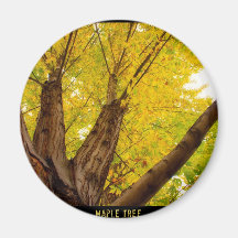 Autumn Maple  Tree - Poster Fridge Magnets