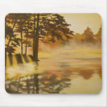 Autumn Mist