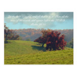 Autumn Mist Post Cards