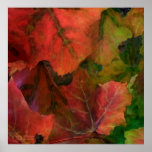 Autumn Moods 1 Art Poster