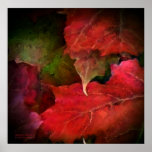 Autumn Moods 4 Art Poster