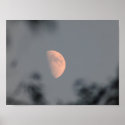 Autumn Moon posters