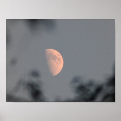 Autumn Moon Print by NsaneNtellect