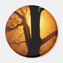 Autumn Moon Shining Through the Tree Fridge Magnets