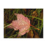 Autumn Morning Dew Postcards