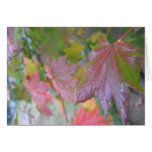Autumn Morning Greeting Card