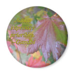 Autumn Morning Magnets