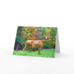 Autumn Morning Note or Greeting Card