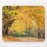 Autumn mousepad