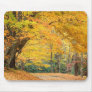Autumn mousepad