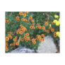 Autumn Mums Post Card