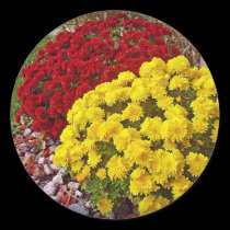 Autumn Mums stickers