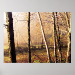 Autumn Muse Print